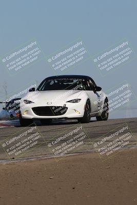 media/Nov-24-2023-Speed SF (Fri) [[8629a6e656]]/Gold/Session 2 (Grapevine)/